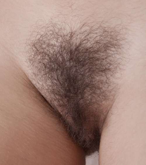 Woman’s hairy pussy