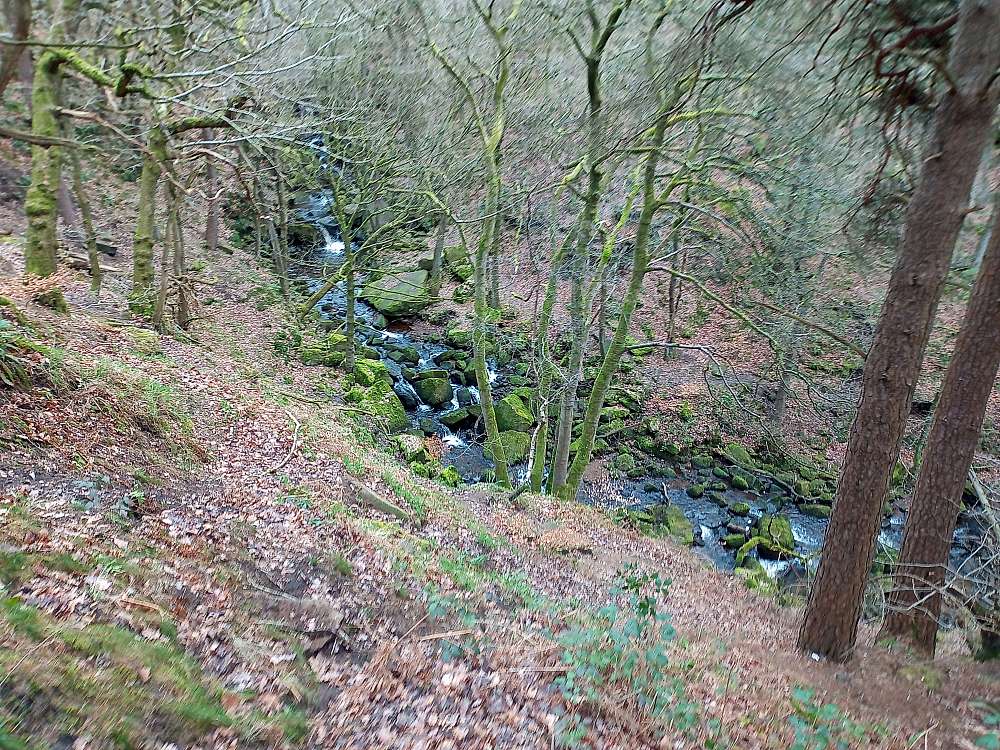 padley-gorge-img-20230222-104051-786.jpg