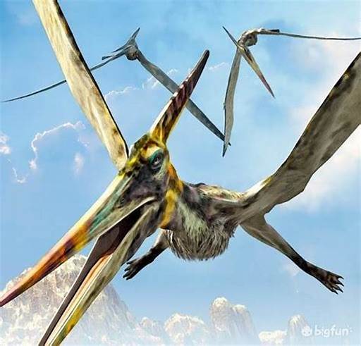 pteradactyl.jpg