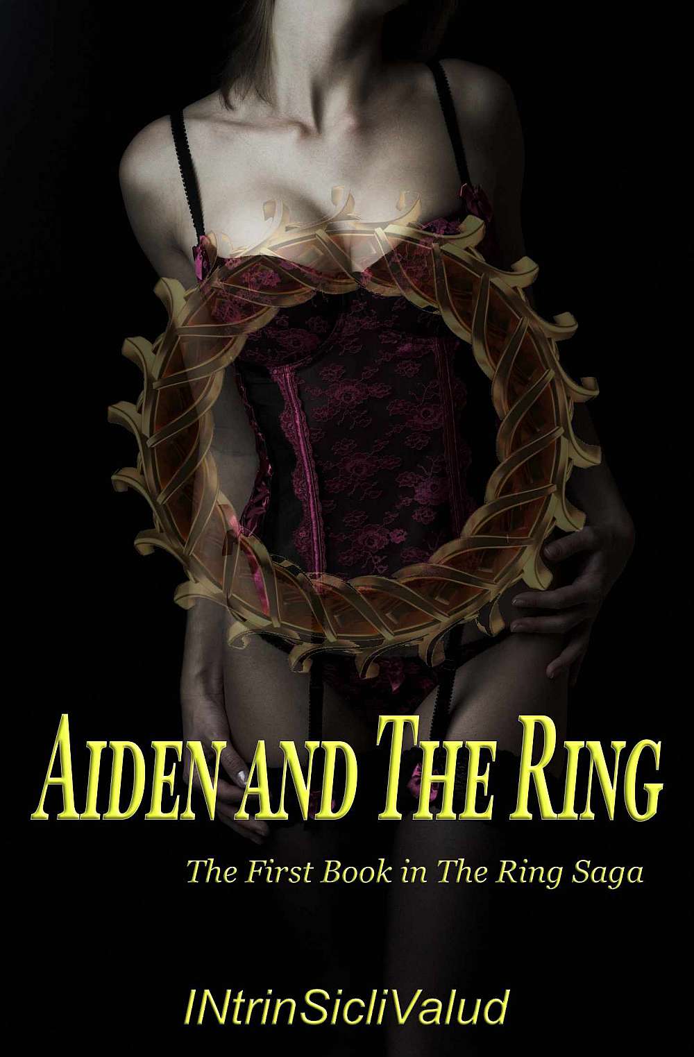 aiden-and-the-ring-cover-new.jpg