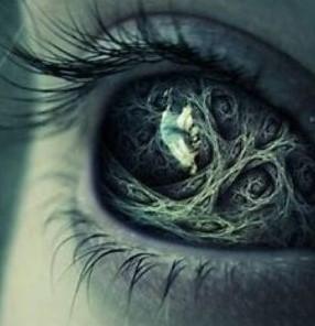 29955-11-عيون عدن.jpg