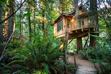 29063-304-treehouse.jpg