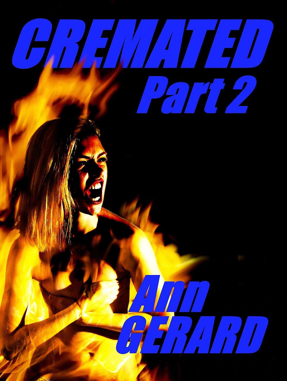 32368-cremated-illustration-part-2-ann-gerard.jpg