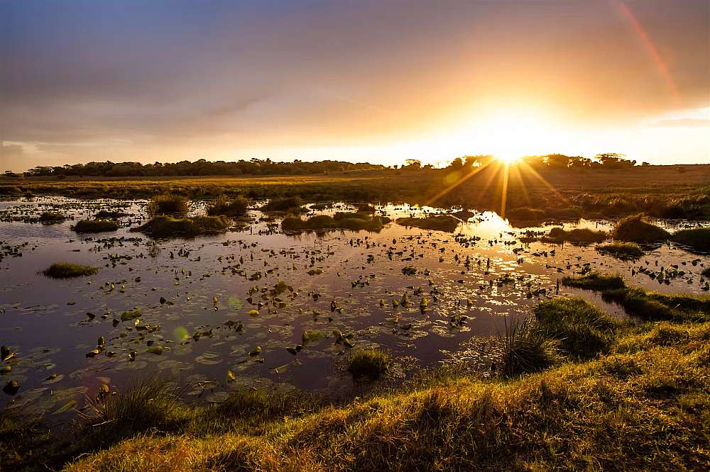 A breathtaking view of the sun rising above the dune to the east of iSigodi. The waters of Lake St Lucia sparkled gold in the dawn light.