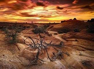 29955-20-غروب الشمس.jpg