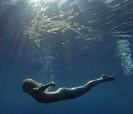 31634-22-diver.jpg