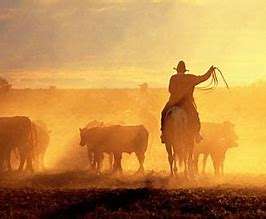 29955-9-غروب الشمس.jpg