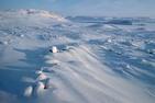 44467-1-siberian-winter.jpg