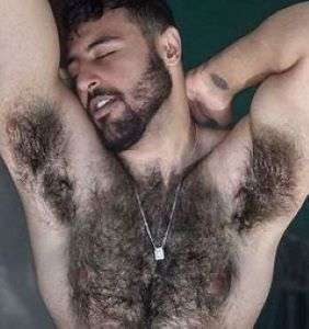 28981-64-04-bear.jpg