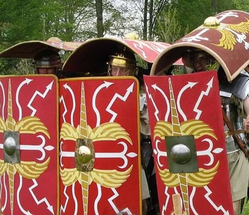 47324-1-04-testudo.jpg