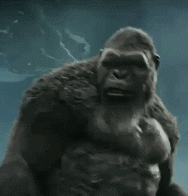 29063-401-04-kong.gif