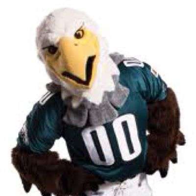 29063-402-02-bad-bird.jpg
