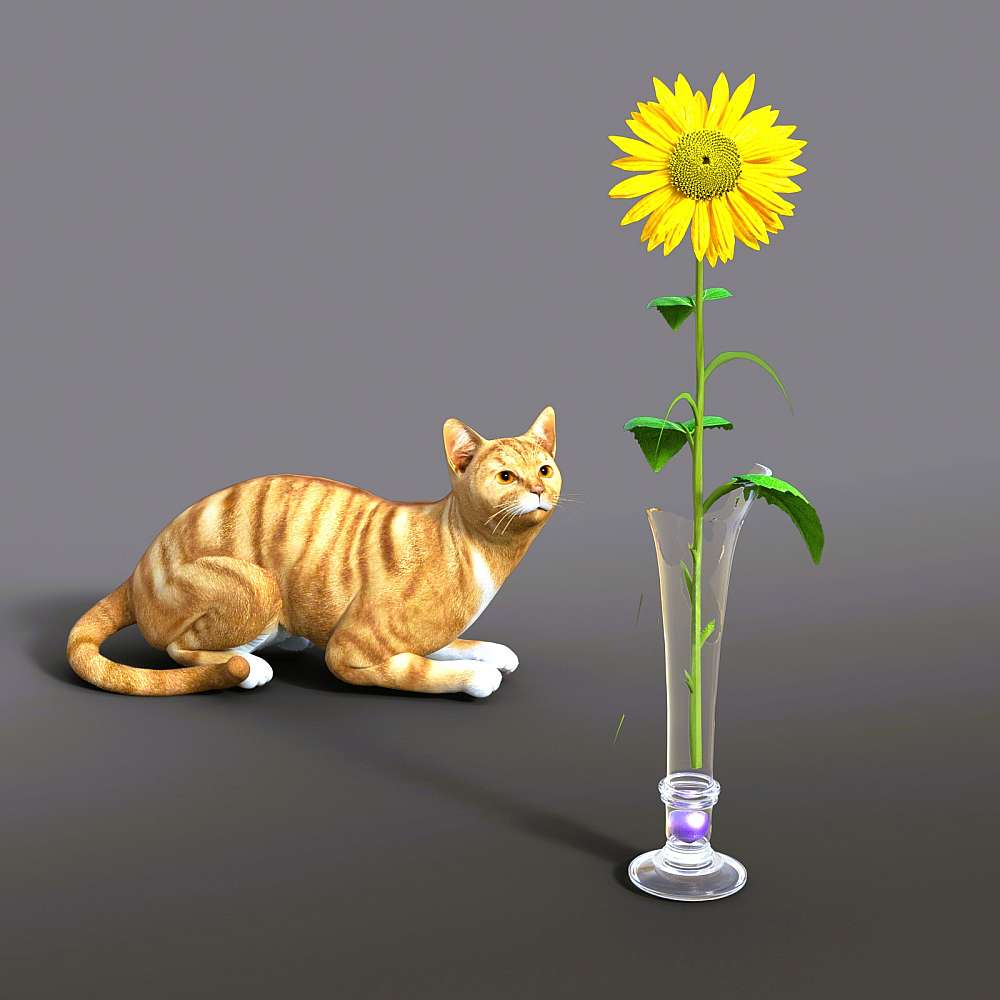 47704-04-distraction-3.jpg