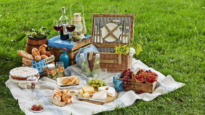 47105-8-02-picnic.jpg