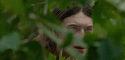 29019-75-02-kb-bushes.gif