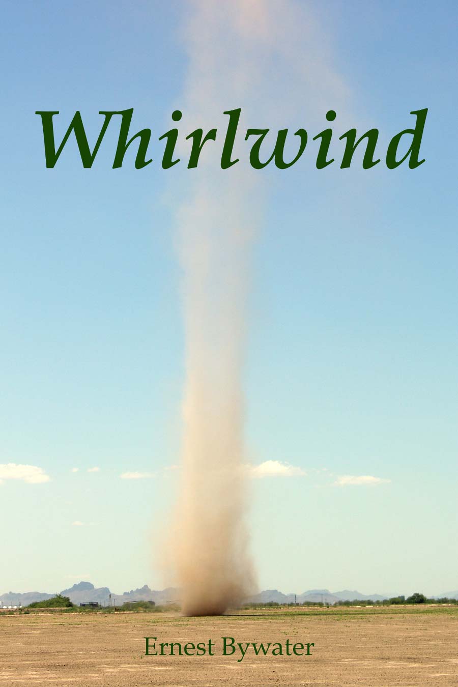 Cover - Image of Tornado Twister