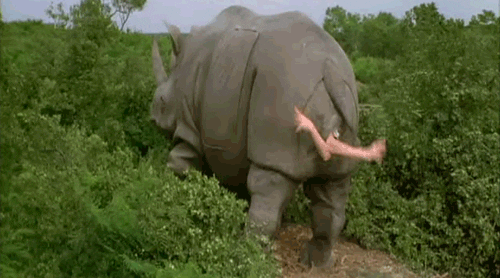 29063-413-02-kb-rhino.gif