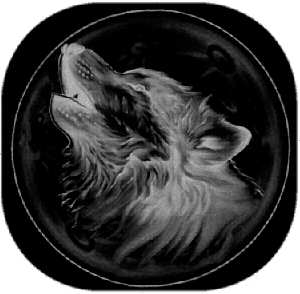 image of an inverted wolf