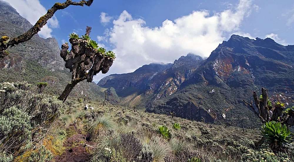 In the picture the Mountains of the Moon are seen. A legendary mountain range in east Africa, once thought to be the source of the Nile River. Various identifications have been made in modern times, the Rwenzori Mountains of Uganda and the Democratic Republic of the Congo being the most celebrated.