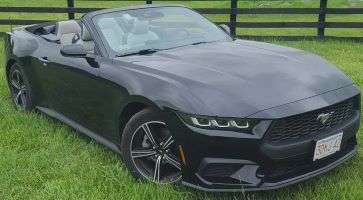46967-4-03-mustang.jpg