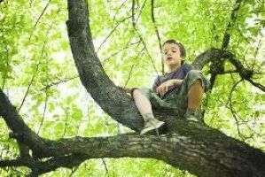 28981-69-03-tree.jpg