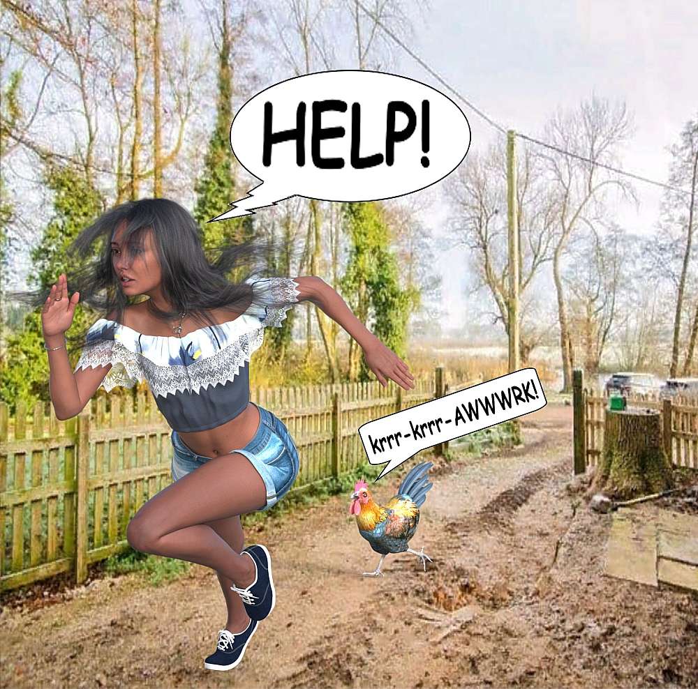 The image shows Rose running in a muddy outdoor area, with Leghorn the rooster chasing her. Rose, with long dark hair flying, wears denim shorts and an off-the-shoulder top. Her face shows alarm, and a speech bubble says ‘HELP!’. Leghorn the rooster, with his brightly coloured red comb, is close behind her, also in motion, with a speech bubble containing its aggressive sound: ‘krrr-krrr-AWWWRK!’. A wooden fence runs in the background, and trees suggest a rural setting. The scene captures a moment of frantic, humorous chaos.
