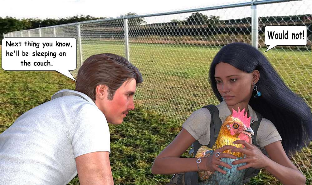 The picture show Dolf and Rose next to the farmyard fence. Rose is holding the rooster, Leghorn, after she untangled him from the fence.