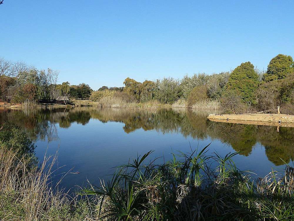 A small pond scene in a grassy sanctuary for wild birds, know as the Austin Roberts Bird Sanctuary.