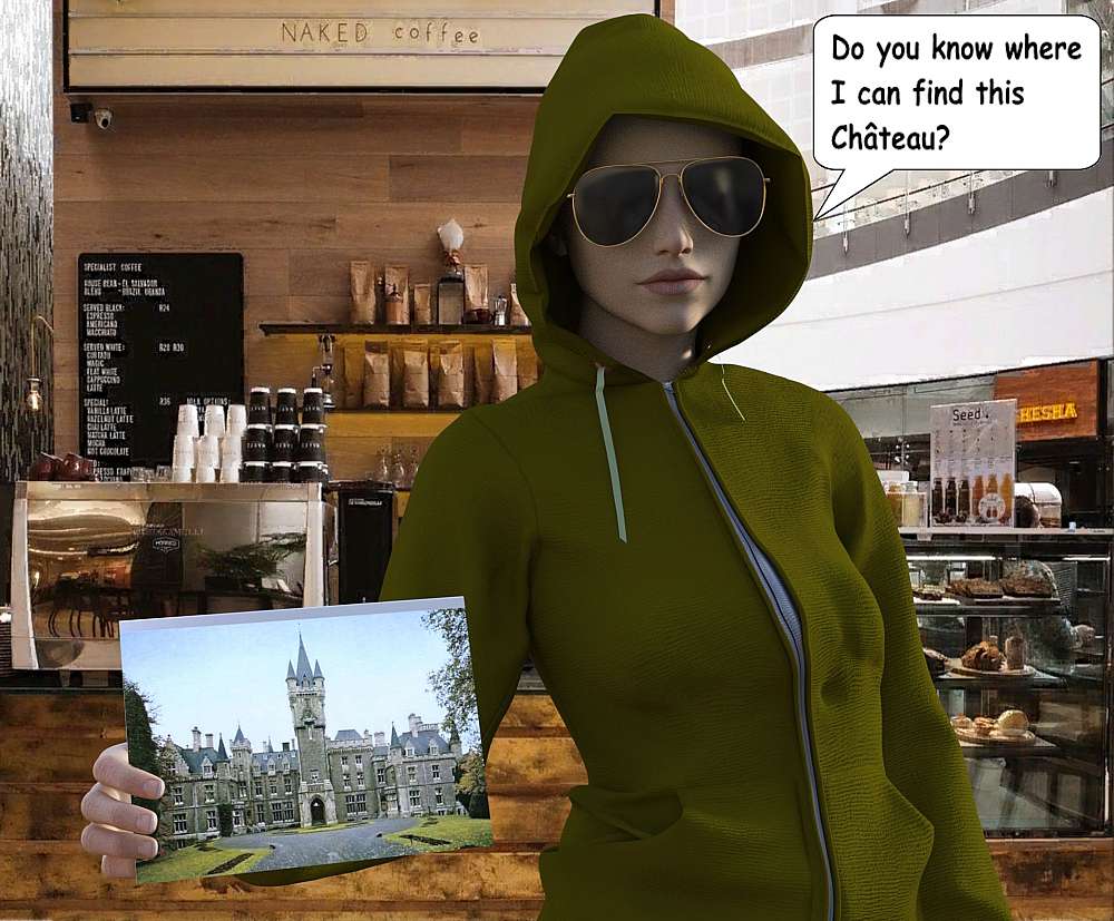 In the picture a person in a green sweater with a hoodie covering her head and sunglasses show a picture of a castle or something similar to the waitress. The picture is seen in her right hand. In the background the counter and logo of ‘The Naked Coffee’, restaurant is seen. This shop do exists in real life at Sandton City Mall in Sandton Johannesburg in South Africa.