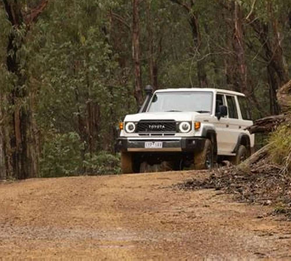 Ruan, Lena, together with Volkov and his men drive down the gravel road from the château towards the main road to George. The road is lined with thick forest that rises on each side.