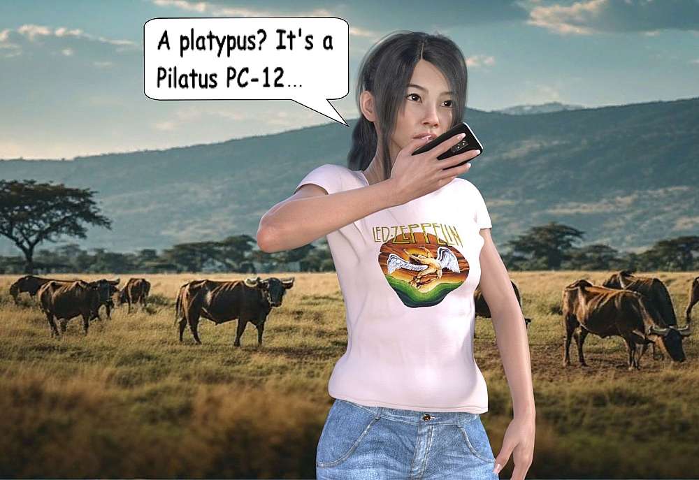 In the foreground, Mai-Loan stands prominently against the rugged backdrop of the South African Highveld. She is rendered in high resolution, capturing a cautious, analytical expression as she holds her smartphone to her mouth, speaking to Adrian. She wears a light pink t-shirt featuring a Led Zeppelin logo that adds a layer of rebellious ‘Character Soul’ to her legend. The environment is cinematic and desaturated, mirroring a heavy, overcast Pretoria afternoon. Behind her, a herd of beef cattle grazes in the scrubland, providing her with a legitimate ‘cover’ for being in the field. The distant mountains and sprawling acacia trees ground the scene in the North West province, creating a quiet, high-pressure ‘vibration’ before the inevitable storm unfolds in the Kruger National Park.