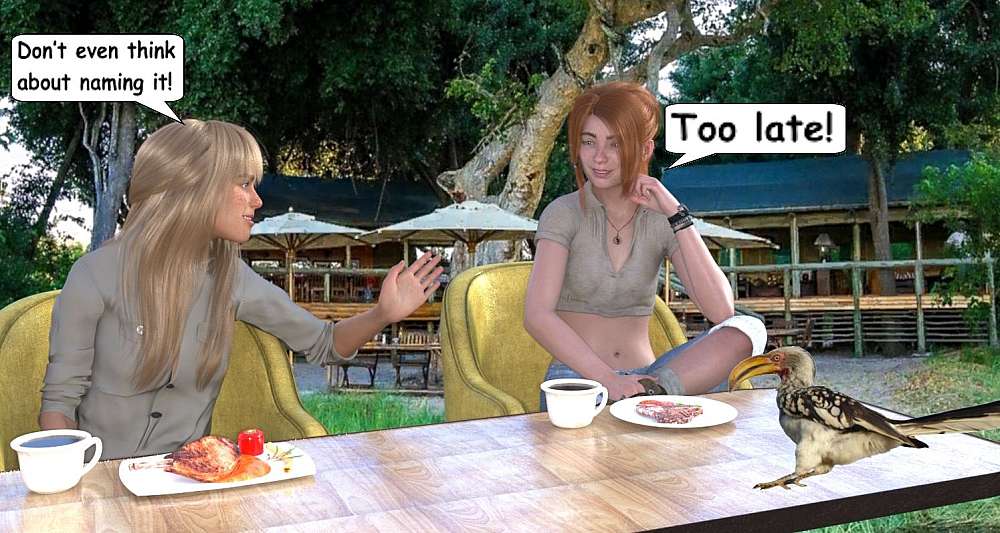 In the picture, Nadia and Kait is seen sitting at a restaurant table with plates of food in front of them. On the side of the table, near Nadia, a hornbill bird is ready to scavenge something to eat from Nadia who had been feeding him portions of toast to the disgust of Kait. In the background the restaurant goes about it’s business.
