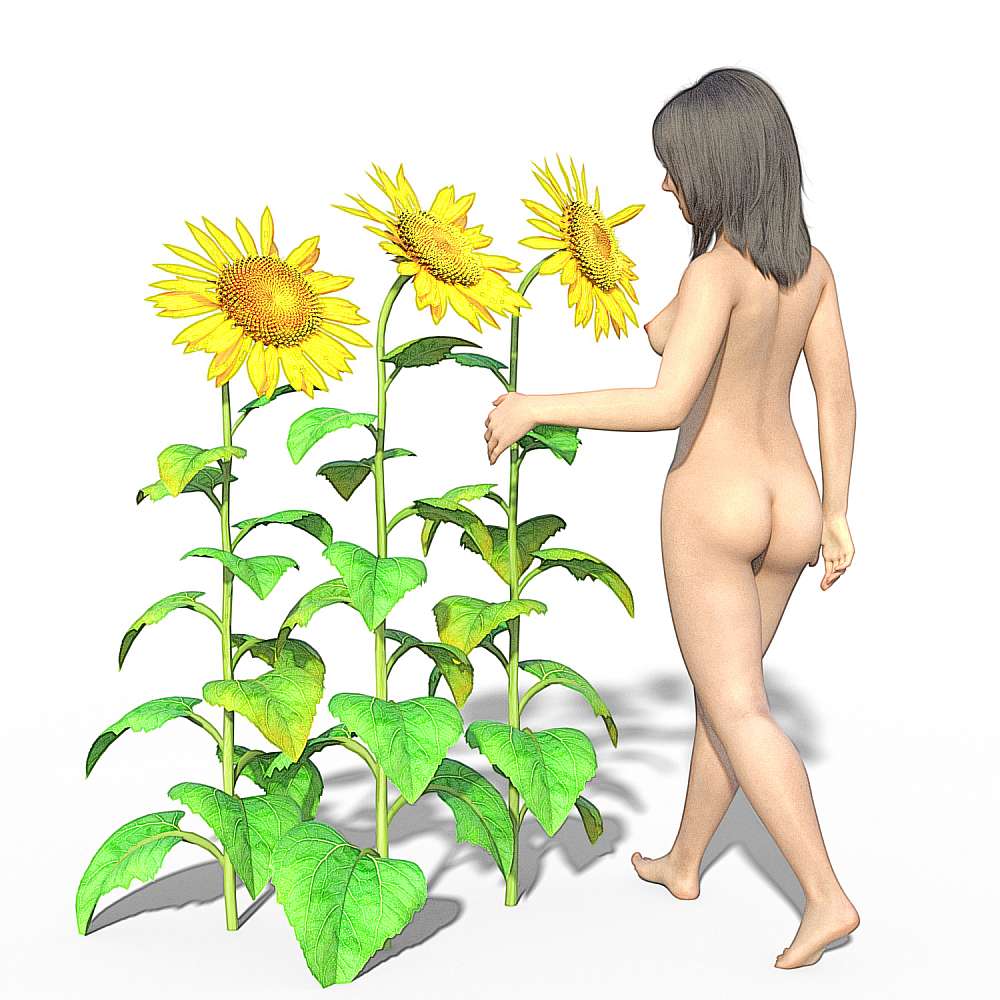 60048-02-sunflower-shower-1.jpg
