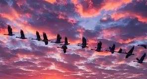 29955-43-ch-43-03-geese.jpg
