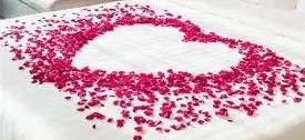 29873-28-ch-28-07-petals.jpg