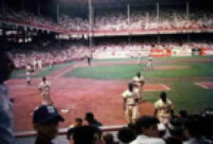 baseball players on the field