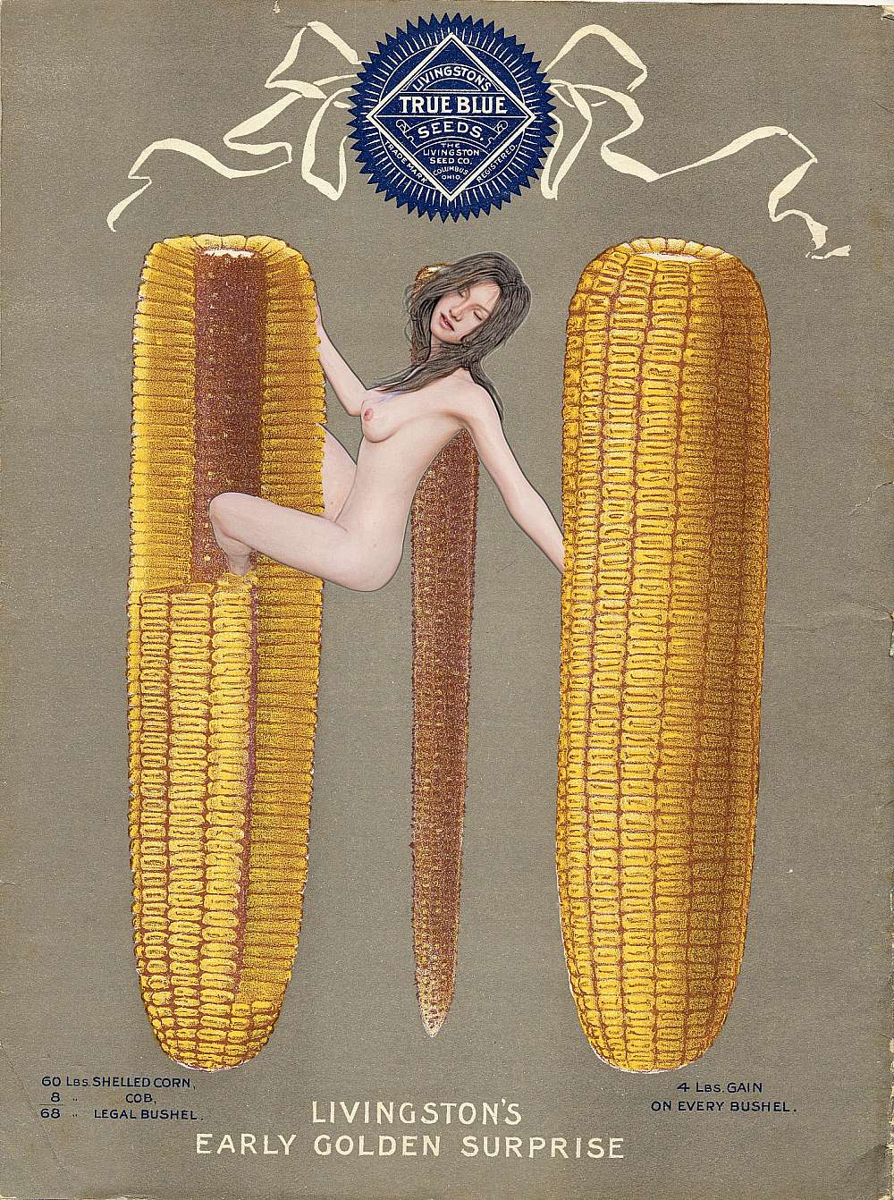 Naked woman on ears of corn cover
