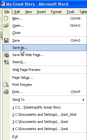 From the 'File' menu, select 'Save As...'